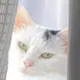 村澤 史恵のプロフィール画像